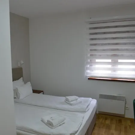 Force * 兹拉蒂博尔