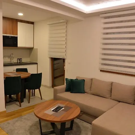 公寓 Force 兹拉蒂博尔