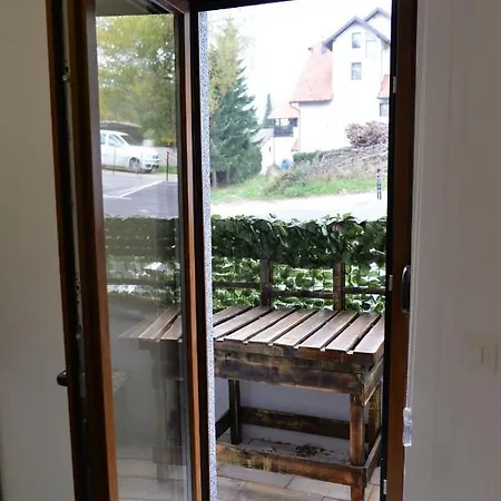 Force 兹拉蒂博尔