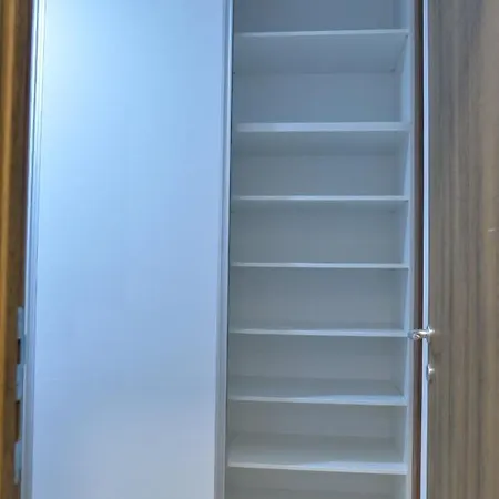 Force 兹拉蒂博尔