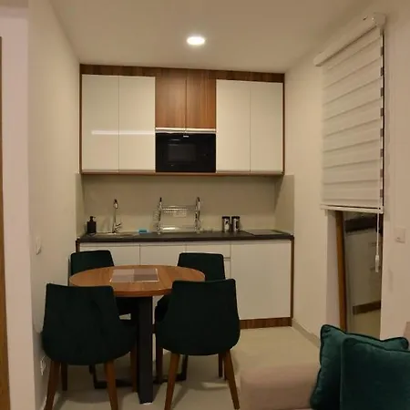 公寓 Force 兹拉蒂博尔